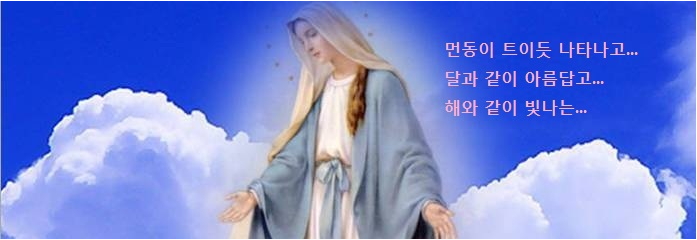 까떼나 벤허.jpg : 상아탑 Pr. 9차 사업 보고서 마치고 난후 까떼나 벤허.jpg : 상아탑 Pr. 9차 사업 보고서 마치고 난후
